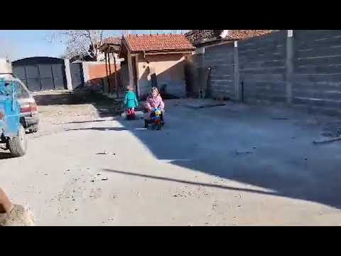 Видео: бегово беговки Глория и мими