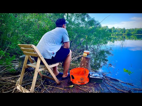 Видео: Рибалка на ФІДЕР🎣, Приїхав за 2 години наловив РИБИ 🐟!!!