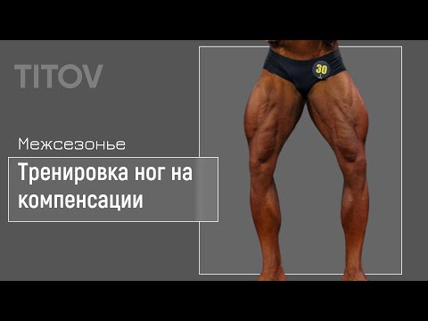 Видео: 7 ноября 2025 г.