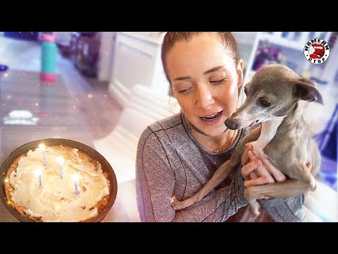 Видео: Готовлю УЖАСНЫЙ ТОРТ для собак !!! - Дженна Марблс