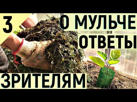 Видео: АКТИВНАЯ МУЛЬЧА КАК ПОВЫСИТЬ ПЛОДОРОДИЕ часть3