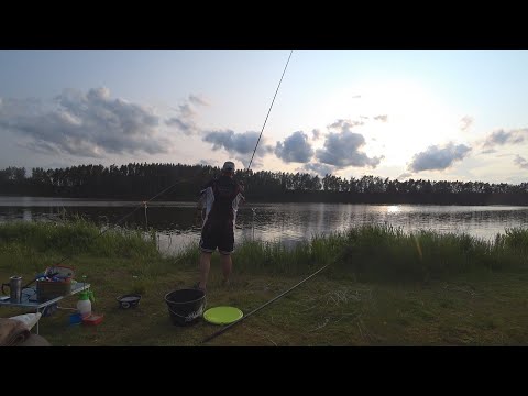 Видео: Река, природа. Рыбалка с ночевкой.