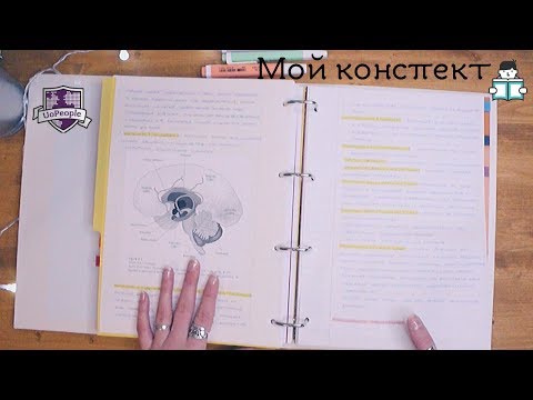 Видео: Мой конспект в университете. Организация учебной папки