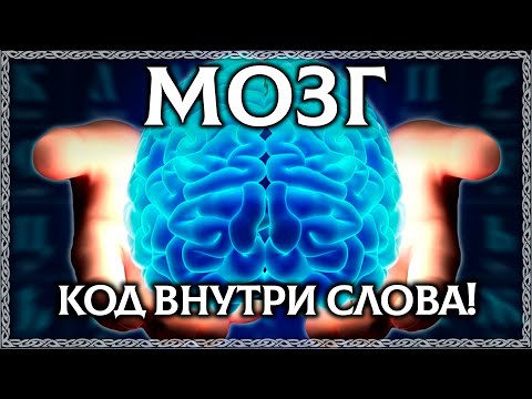 Видео: ЧТО ТАКОЕ МОЗГ? Буквица открывает тайну слова мозг! ОСОЗНАНКА