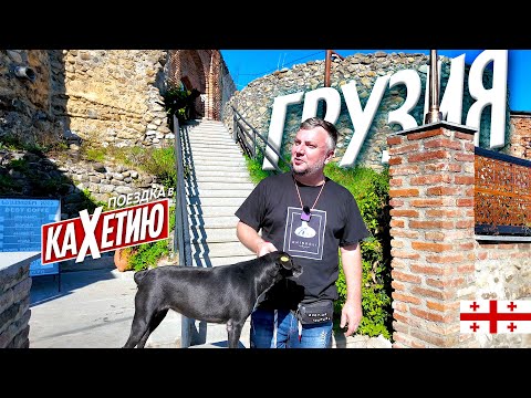 Видео: ЭКСКУРСИЯ В КАХЕТИЮ. ЕШЬ! ПЕЙ! НАСЛАЖДАЙСЯ! GEORIA SIGHNAGHI