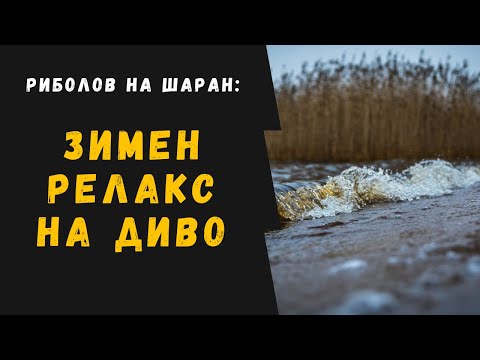 Видео: Риболов на шаран: Зимен релакс на диво