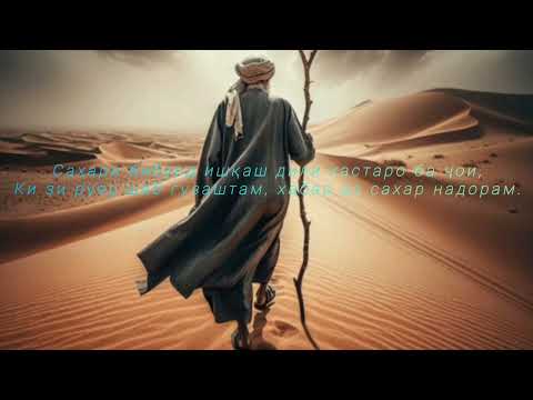 Видео: Мавлоно-مولانا