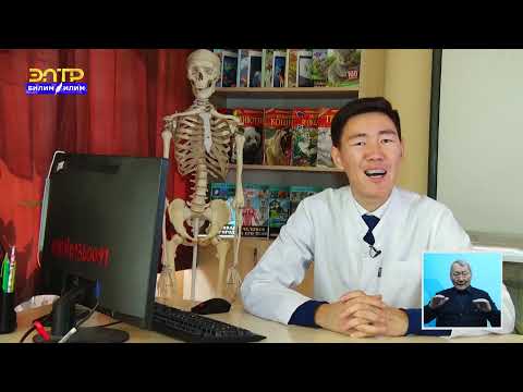 Видео: ГЕНЕТИКА