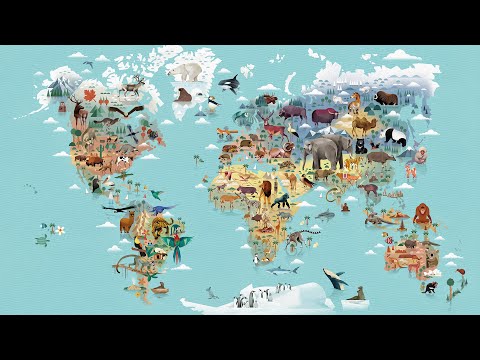 Видео: [3/3] Доказательства эволюции