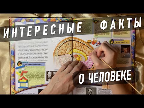 Видео: АСМР Интересные факты о человеке 🧠 S2E5 / ASMR Whispering Random Facts For Your Sleep