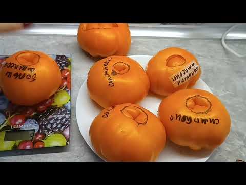 Видео: СИБИРЬ. Обзор √ 9 и дегустация томатов🍅. 2025. Перечень сортов, под видео. 