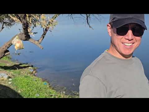 Видео: Мармароный айылы 31 октябрь