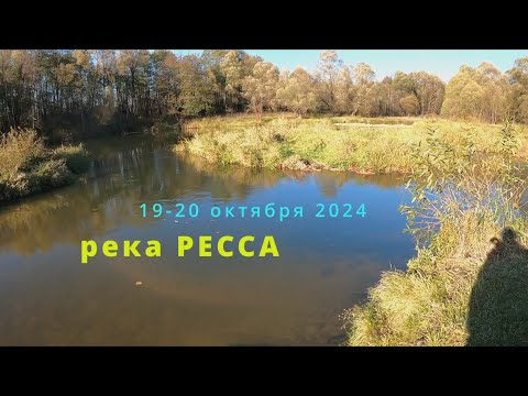 Видео: р.Ресса - закрытие сезона 2024