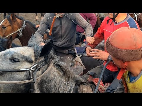 Видео: Араптын улагы Улуттук спорт в прямом эфире!