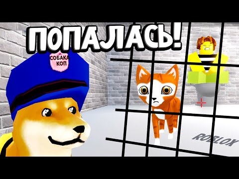 Видео: ВОТ И ВСЁ 😭 ЗА ПЛОХОЕ ПОВЕДЕНИЕ ПОПАЛА В ТЮРЬМУ 😱 roblox bad cat