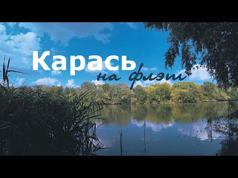 Видео: Карась на флэт фидер: кайф вдали от всех.