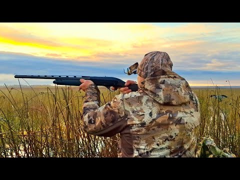 Видео: НАСТРЕЛЯЛ ЖИРНЫХ  УТОК. ОСЕННЯЯ ОХОТА НА УТКУ С ЧУЧЕЛАМИ. 