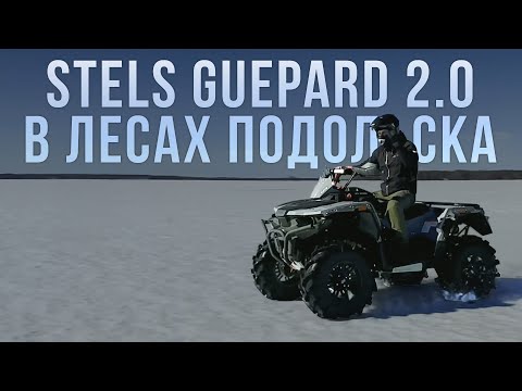 Видео: Обкатываем Stels Guepard 2.0 в лесах Подольска. Попытка добраться до усадьбы А.П.Чехова