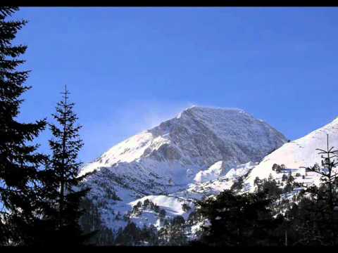 Видео: Десилица - Що ми се нещо белее