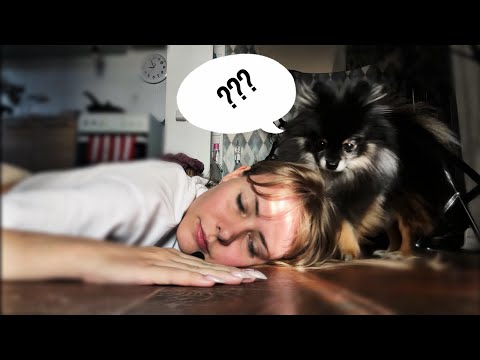 Видео: Мое садо-мазо и фасолинка🌱И как я выгнала сына из дома(9лет)