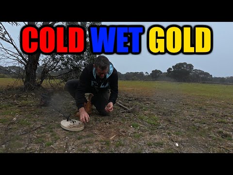 Видео: РАЗВЕДКА ЗОЛОТА В ЦЕНТРАЛЬНОЙ ВИКТОРИИ НА МОКРЫХ МЕСТОРОЖДЕНИЯХ!