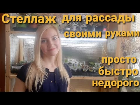 Видео: Как устроен мой стеллаж для рассады/Бюджетный вариант