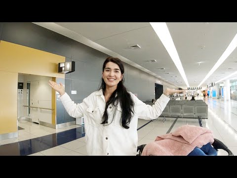 Видео: VLOG: Мечта Сбылась