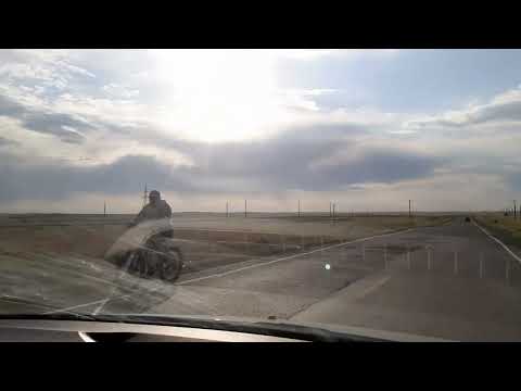 Видео: совхоз Комсомольский  20.07.2022г