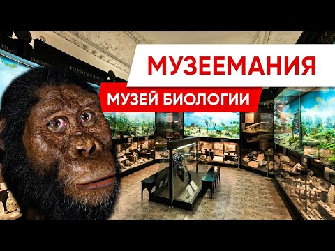 Видео: Музеемания. Биологический музей