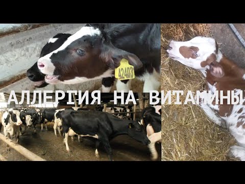 Видео: АЛЛЕРГИЯ НА ВИТАМИНЫ И НЕ ТОЛЬКО/ 5 СЛУЧАЕВ ИЗ ПРАКТИКИ