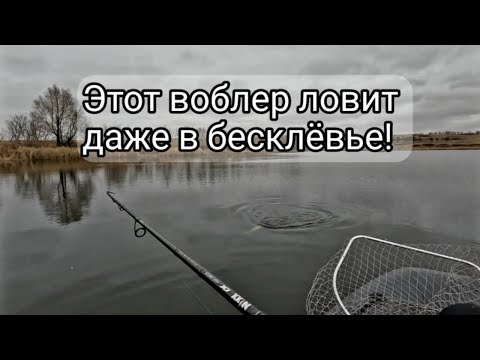 Видео: Этот воблер ловит даже в бесклёвье. Ловля щуки в октябре.