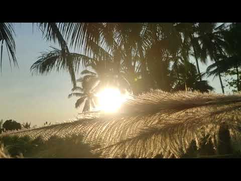 Видео: Жұма күні бұл сүрені міндетті түрде қосыңыз. Нәтижесін көресіз, әл-Кәһф сүресі🤲#құран