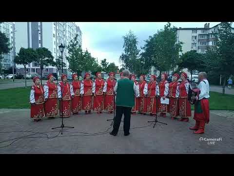 Видео: Вишневий дзвін