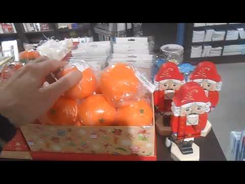 Видео: Прогулка по Питеру Невский одиночный пикет Лавка писателей 10 ноября влог71