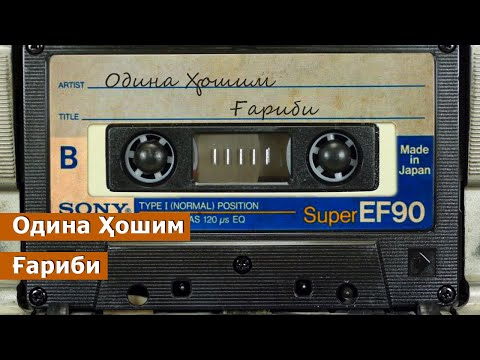 Видео: Одина Хошим - Гариби / Odina Hoshim - Garibi /ادینه هاشم