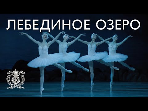 Видео: Ночной танец в лесной чаще из балета «Лебединое озеро»