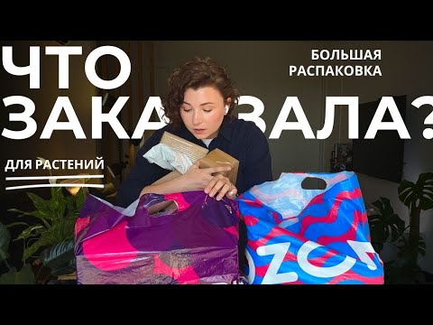 Видео: Большая распаковка товаров с OZON и Wildberries • Условия РОЗЫГРЫША на 3500 подписчиков на канале