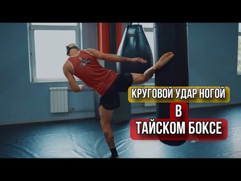 Видео: Круговой удар ногой в тайском боксе
