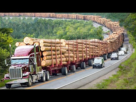 Видео: Невероятное совершенство в движении — самые впечатляющие машины и инструменты, работающие как по ...