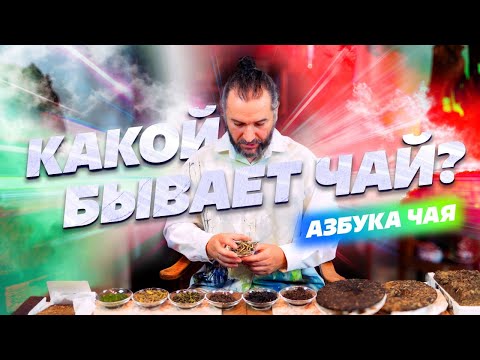 Видео: Азбука чая. Какой бывает чай? Разбираем виды чая.