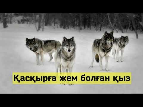 Видео: Қасқырға жем болған қыз. Мекемтас Мырзахметов оқиғасы. Шынайы оқиға