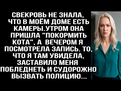 Видео: Свекровь не знала, что в моём доме есть камеры. После её визита я посмотрела запись и ужаснулась...