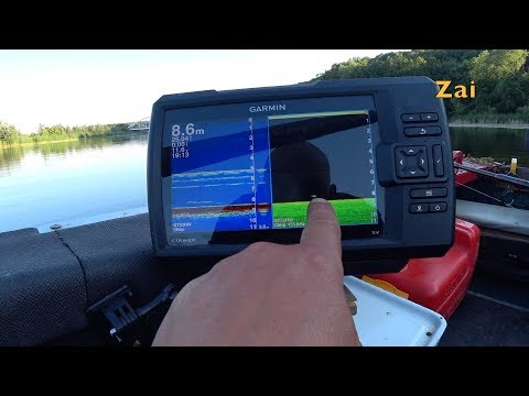 Видео: Сом на эхолоте Garmin в разных режимах.