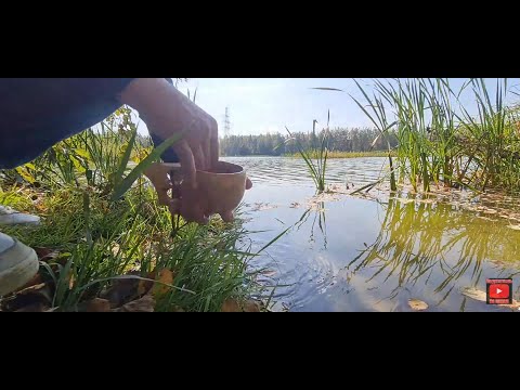 Видео: Осенний завтрак на природе,тест микрофона Playzer