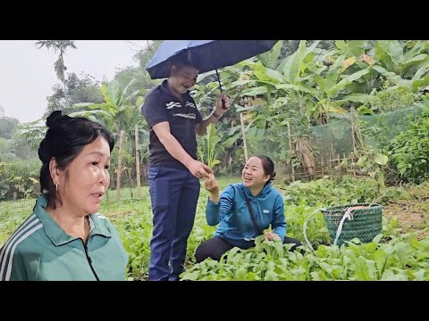Видео: ЧУК и ХАНГ отлично провели время, собирая овощи и вместе ходя на рынок.
