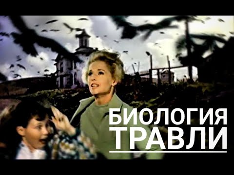 Видео: Биология травли // лекция Жени Тимоновой