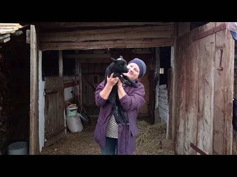 Видео: На Хуторе в Беларуси появилась маленькая Жизнь...