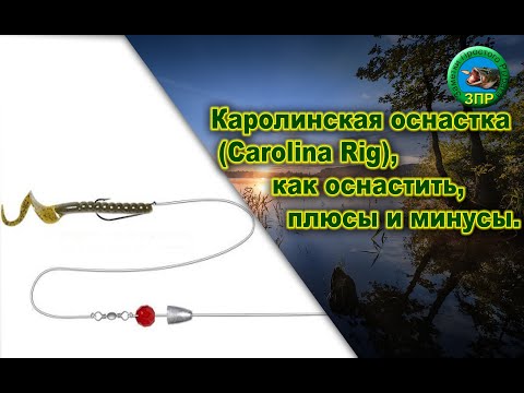 Видео: Каролинская оснастка Carolina Rig, как оснастить, плюсы и минусы