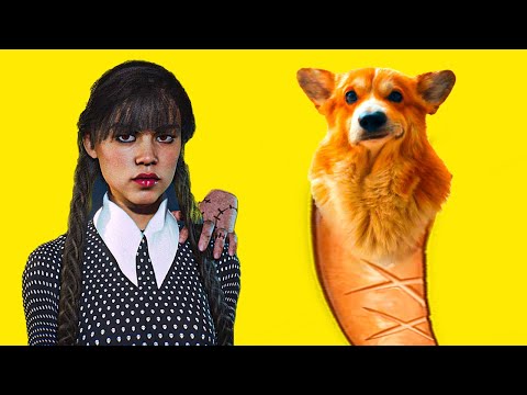 Видео: Все серии УЭНСДЕЙ против ВОЛОСАТОЙ СОСИСКИ!! (Корги Коржик) Говорящая собака