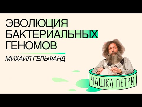 Видео: Эволюция бактериальных геномов. Михаил Гельфанд